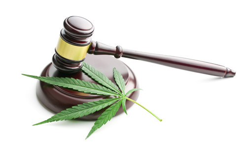 Update on Hemp Laws