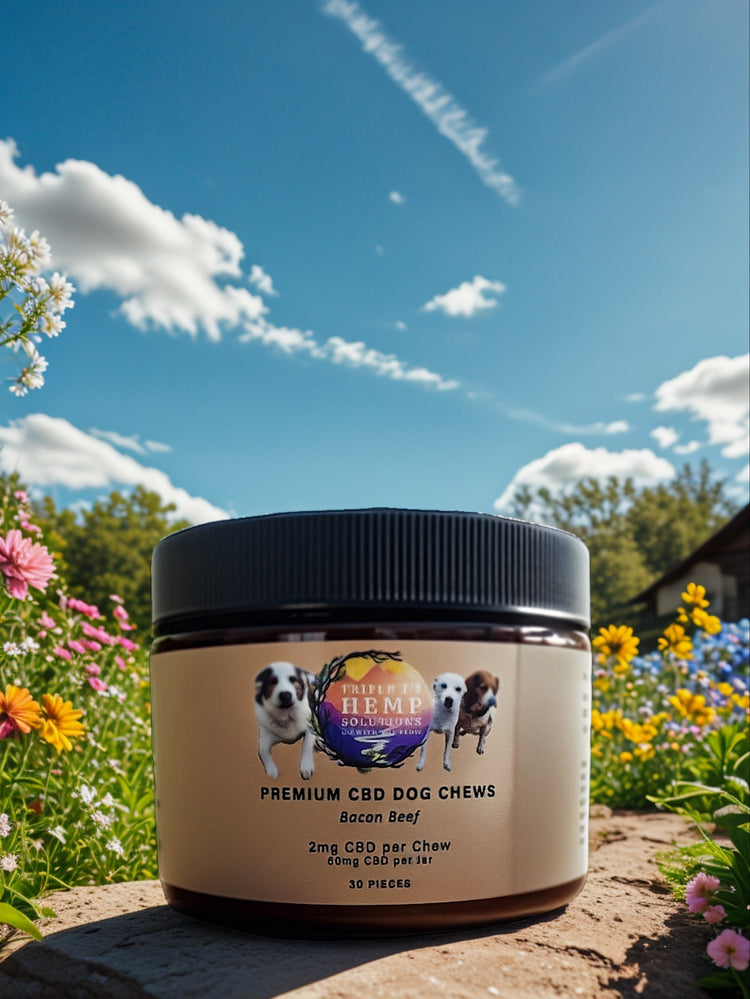 Pets CBD Wellness: Tinctures & Chews for Happy Pets featuring Triple J's 3.75mg CBD Broad Spectrum Organic Pet Tincture and CBD Dog Chews for dogs, promoting relaxation and vitality with CBD for pets.
