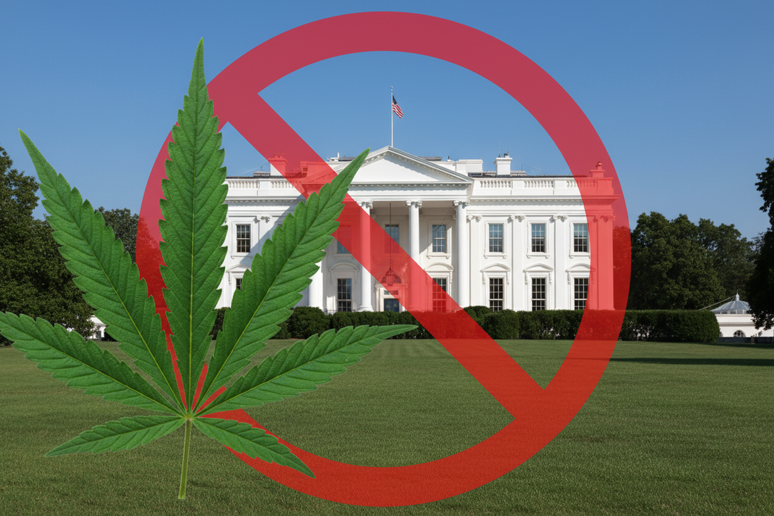 The Hidden Hemp Ban