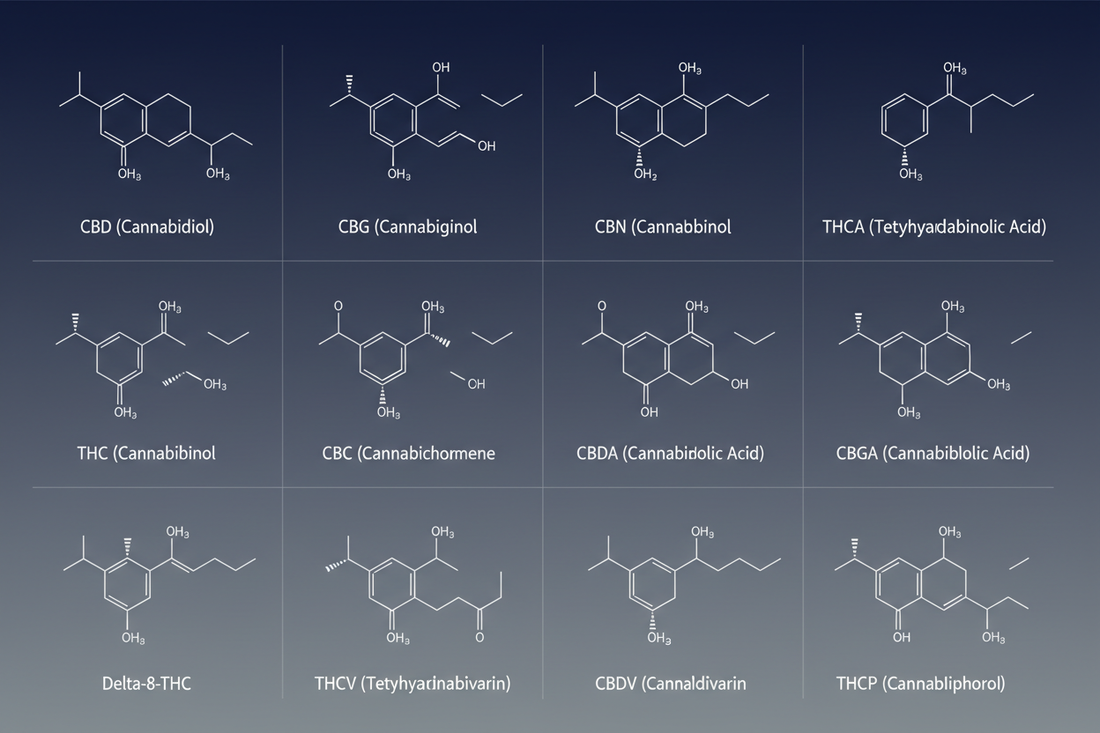 Hemp’s Cannabinoid Encyclopedia: 12 Key Compounds (Out of 118+)
