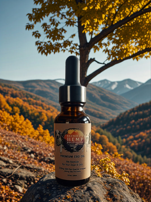 Triple J's Hemp Solutions 3.75mg CBD Broad Spectrum Organic Pet Tincture bottle showcasing organic ingredients for pet wellness.